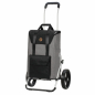 Preview: Andersen ROYAL SHOPPER Senta gray