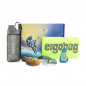 Preview: ergobag Fan Box Weltraum