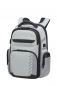 Preview: Samsonite PRO DLX 6 Backpack 15.6" 3V exp. Cool Grey/Metllic