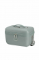 Preview: Samsonite Image Beauty Case Thyme
