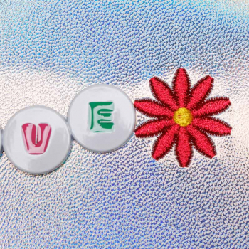 Jeune Premier Ergomaxx - Magic Elf