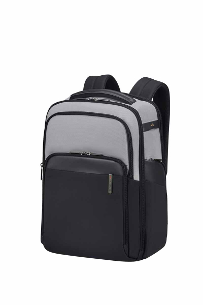 Samsonite EVOSIGHT Rucksack 15,6" LGREY/black
